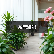 东莞海能（图4）