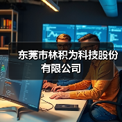 东莞市林积为科技股份有限公司（图3）