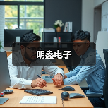 明鑫电子（图3）