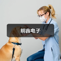 明鑫电子（图1）
