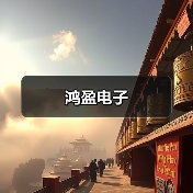 鸿盈电子（图3）