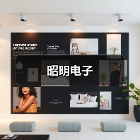 昭明电子(图4) 昭明电子(图4)