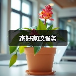 家好家政服务（图4）