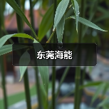 东莞海能（图1）