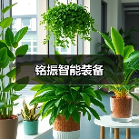铭振智能装备（图2）