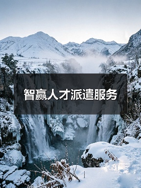 智赢人才派遣服务（图2）