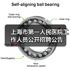 上海市第一人民医院工作人员公开招聘公告(图3) 上海市第一人民医院工作人员公开招聘公告(图3)