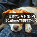 上海师范大学附属中学2025年公开招聘工作人员公告（图4）