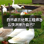 自然语言处理工程师怎么快速提升自己?(图2) 自然语言处理工程师怎么快速提升自己?(图2)