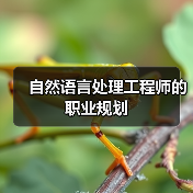 自然语言处理工程师的职业规划(图2) 自然语言处理工程师的职业规划(图2)