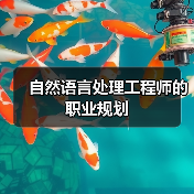 自然语言处理工程师的职业规划(图1) 自然语言处理工程师的职业规划(图1)
