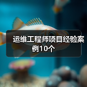 运维工程师项目经验案例10个(图4) 运维工程师项目经验案例10个(图4)