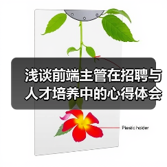 浅谈前端主管在招聘与人才培养中的心得体会(图4) 浅谈前端主管在招聘与人才培养中的心得体会(图4)