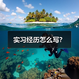 实习经历怎么写?(图4) 实习经历怎么写?(图4)