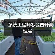 系统工程师怎么晋升管理层(图1) 系统工程师怎么晋升管理层(图1)