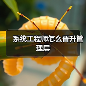 系统工程师怎么晋升管理层(图3) 系统工程师怎么晋升管理层(图3)