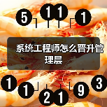 系统工程师怎么晋升管理层(图4) 系统工程师怎么晋升管理层(图4)