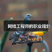 网络工程师的职业规划(图1) 网络工程师的职业规划(图1)