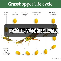 网络工程师的职业规划(图4) 网络工程师的职业规划(图4)