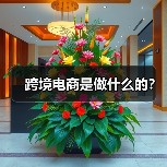跨境电商是做什么的?(图3) 跨境电商是做什么的?(图3)