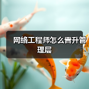 网络工程师怎么晋升管理层(图2) 网络工程师怎么晋升管理层(图2)