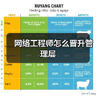 网络工程师怎么晋升管理层(图1) 网络工程师怎么晋升管理层(图1)