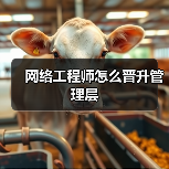 网络工程师怎么晋升管理层(图3) 网络工程师怎么晋升管理层(图3)