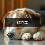 精而美（图1）