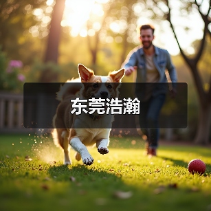 东莞浩瀚（图4）