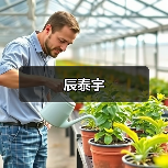 辰泰宇(图1) 辰泰宇(图1)