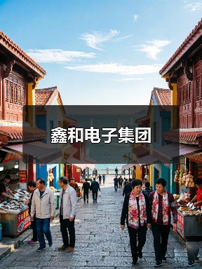 鑫和电子集团(图1) 鑫和电子集团(图1)