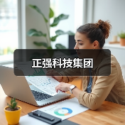 正强科技集团（图1）