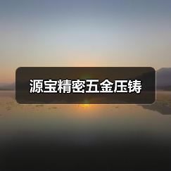 源宝精密五金压铸（图4）