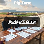 源宝精密五金压铸（图1）