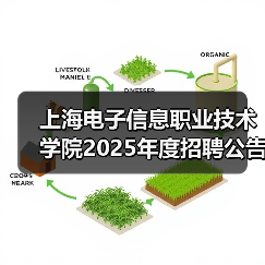 上海电子信息职业技术学院2025年度招聘公告(第一批次)（图1）