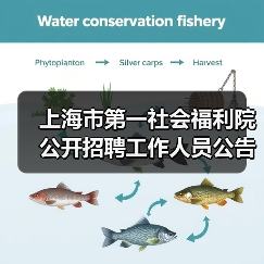 上海市第一社会福利院公开招聘工作人员公告（图2）
