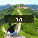 华茂（图1）