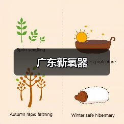 广东新氧器（图3）