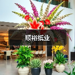 顺裕纸业（图4）