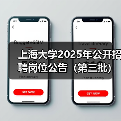 上海大学2025年公开招聘岗位公告（第三批）（图4）