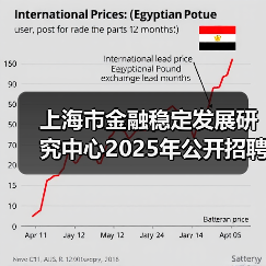 上海市金融稳定发展研究中心2025年公开招聘工作人员公告（图3）