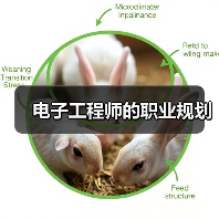 电子工程师的职业规划(图4) 电子工程师的职业规划(图4)