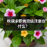 秋招求职者应该注意些什么?(图4) 秋招求职者应该注意些什么?(图4)