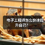 电子工程师怎么快速提升自己?(图3) 电子工程师怎么快速提升自己?(图3)
