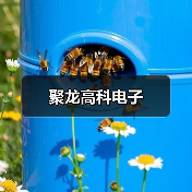 聚龙高科电子(图2) 聚龙高科电子(图2)
