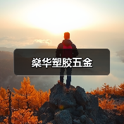 燊华塑胶五金（图2）