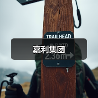 嘉利集团（图1）