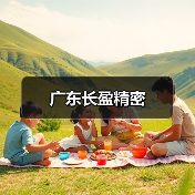 广东长盈精密（图2）
