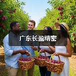 广东长盈精密（图1）