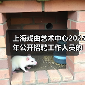 上海戏曲艺术中心2025年公开招聘工作人员的公告(图1) 上海戏曲艺术中心2025年公开招聘工作人员的公告(图1)